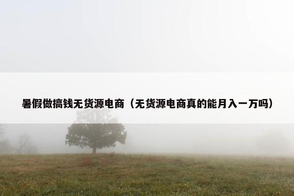 暑假做搞钱无货源电商（无货源电商真的能月入一万吗）