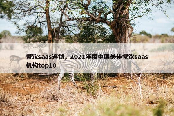 餐饮saas连锁，2021年度中国最佳餐饮saas机构top10