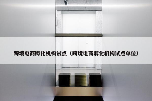 跨境电商孵化机构试点（跨境电商孵化机构试点单位）