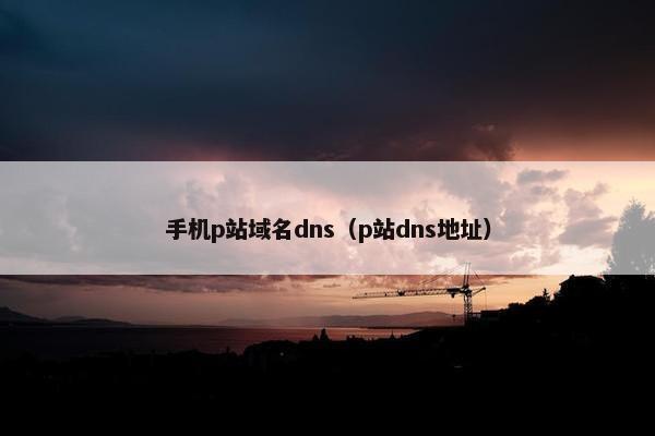 手机p站域名dns（p站dns地址）