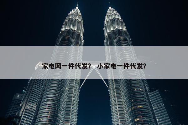 家电网一件代发？ 小家电一件代发？