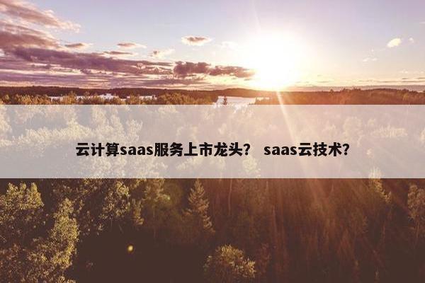 云计算saas服务上市龙头？ saas云技术？