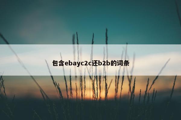 包含ebayc2c还b2b的词条