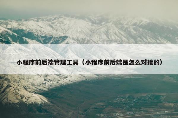 小程序前后端管理工具（小程序前后端是怎么对接的）