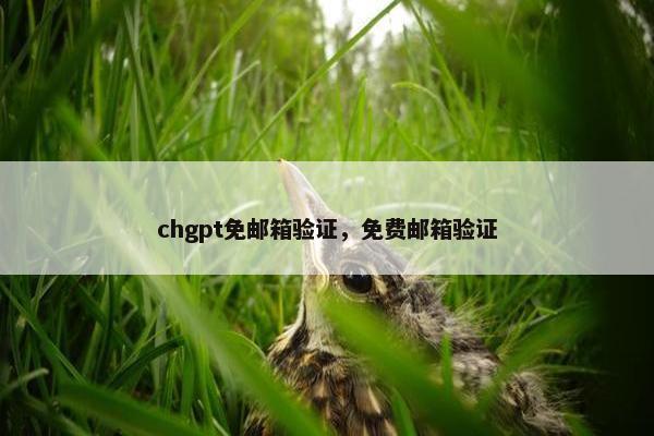 chgpt免邮箱验证，免费邮箱验证