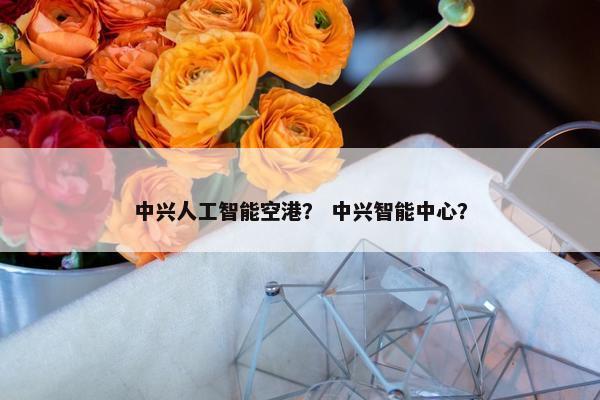 中兴人工智能空港？ 中兴智能中心？