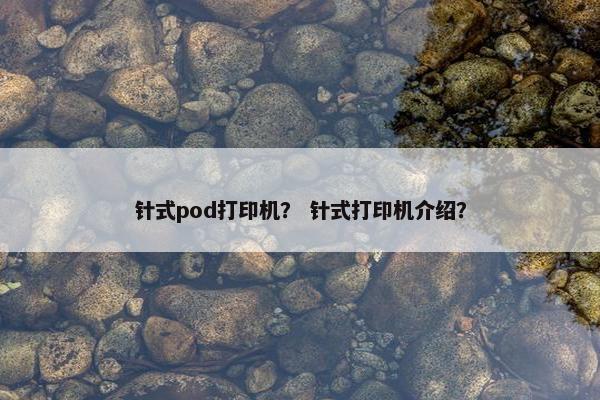 针式pod打印机？ 针式打印机介绍？
