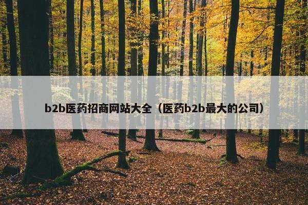 b2b医药招商网站大全（医药b2b最大的公司）