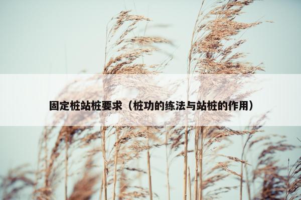 固定桩站桩要求（桩功的练法与站桩的作用）