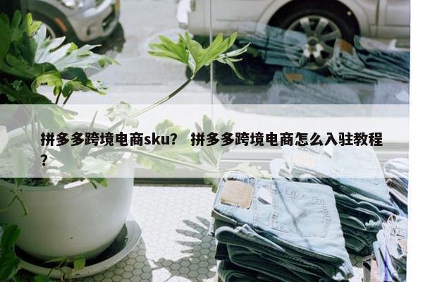 拼多多跨境电商sku？ 拼多多跨境电商怎么入驻教程？
