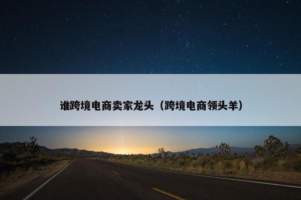 谁跨境电商卖家龙头（跨境电商领头羊）