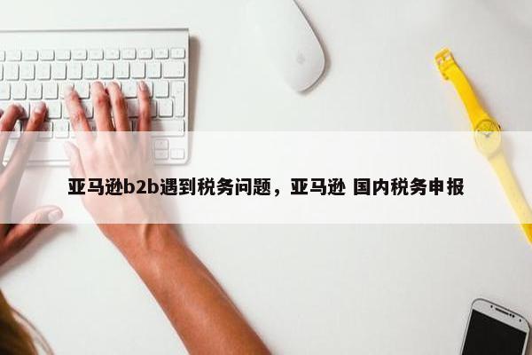 亚马逊b2b遇到税务问题，亚马逊 国内税务申报