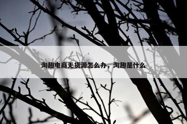 淘趣电商无货源怎么办，淘趣是什么