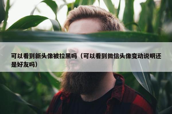 可以看到新头像被拉黑吗（可以看到微信头像变动说明还是好友吗）