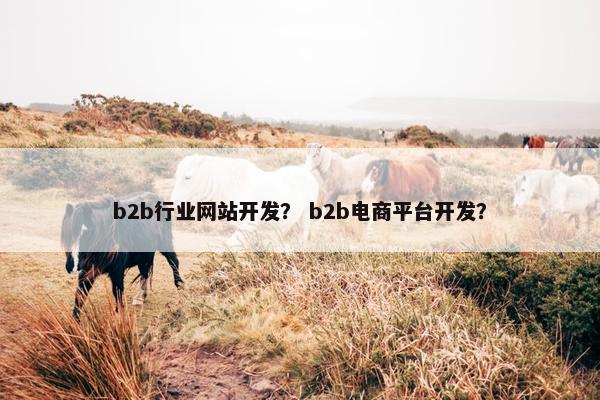 b2b行业网站开发？ b2b电商平台开发？