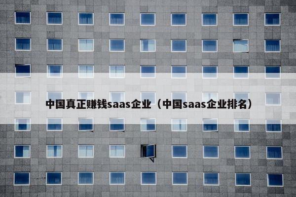 中国真正赚钱saas企业（中国saas企业排名）
