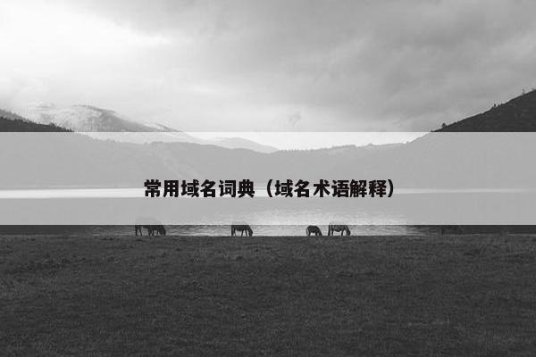 常用域名词典（域名术语解释）