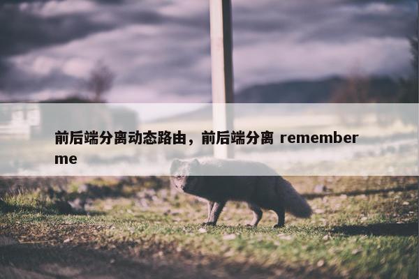 前后端分离动态路由，前后端分离 remember me