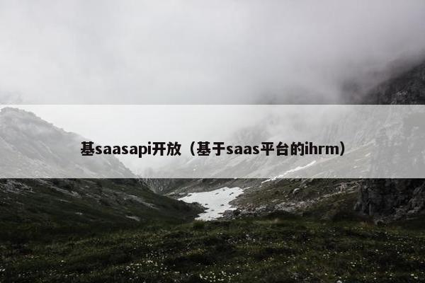 基saasapi开放（基于saas平台的ihrm）