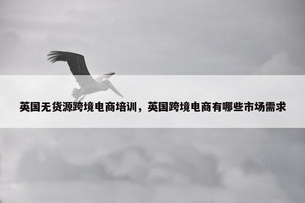 英国无货源跨境电商培训，英国跨境电商有哪些市场需求