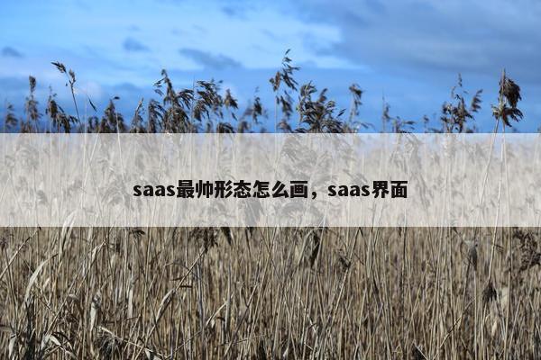 saas最帅形态怎么画，saas界面