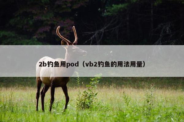 2b钓鱼用pod（vb2钓鱼的用法用量）