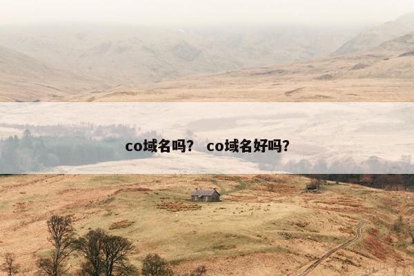 co域名吗？ co域名好吗？