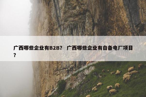 广西哪些企业有B2B？ 广西哪些企业有自备电厂项目？