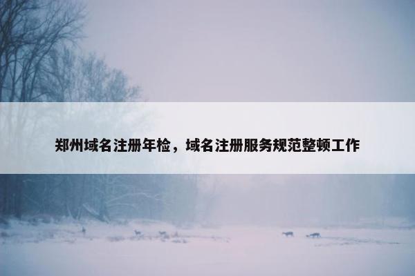 郑州域名注册年检，域名注册服务规范整顿工作