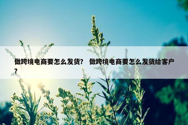 做跨境电商要怎么发货？ 做跨境电商要怎么发货给客户？