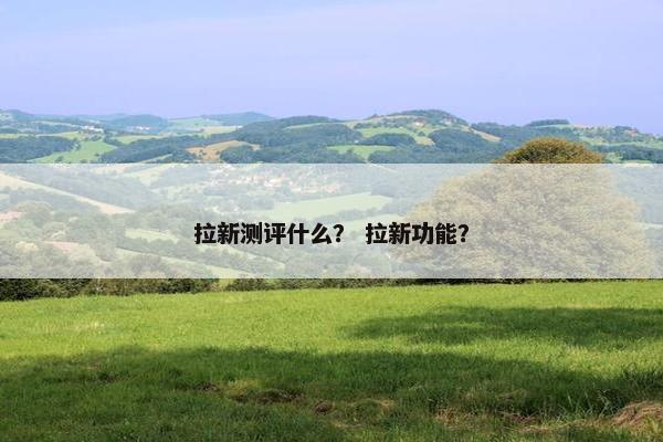 拉新测评什么？ 拉新功能？