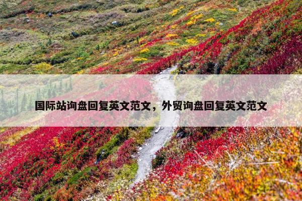 国际站询盘回复英文范文，外贸询盘回复英文范文