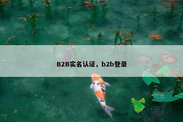 B2B实名认证，b2b登录
