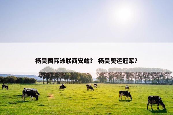 杨昊国际泳联西安站？ 杨昊奥运冠军？