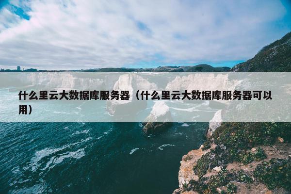 什么里云大数据库服务器（什么里云大数据库服务器可以用）