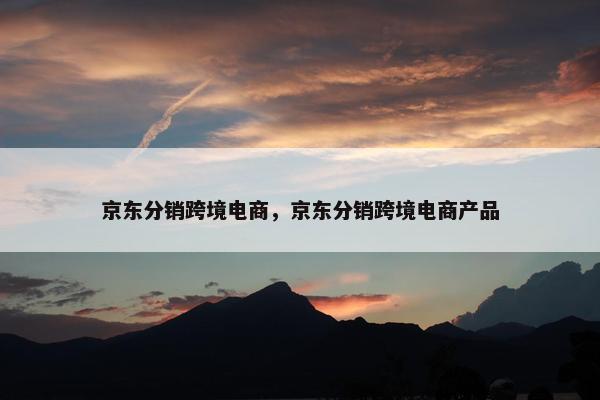 京东分销跨境电商，京东分销跨境电商产品