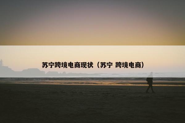 苏宁跨境电商现状（苏宁 跨境电商）