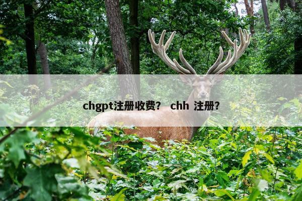 chgpt注册收费？ chh 注册？