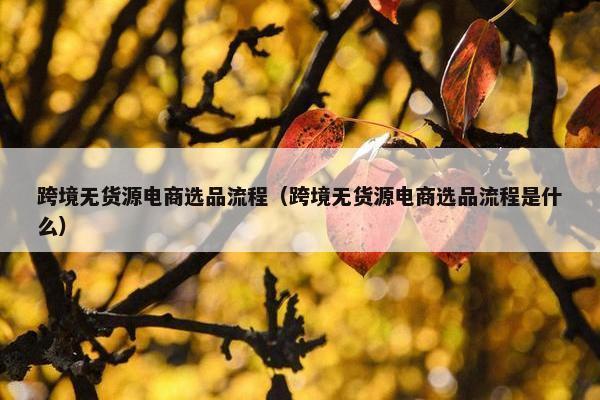 跨境无货源电商选品流程（跨境无货源电商选品流程是什么）