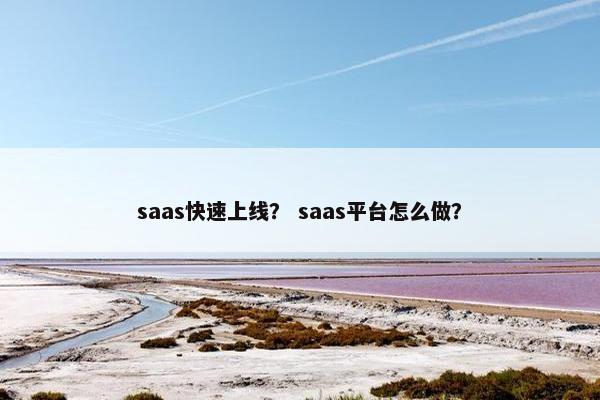 saas快速上线？ saas平台怎么做？