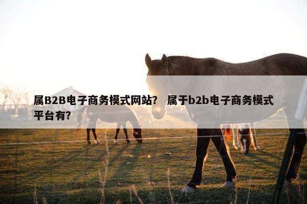 属B2B电子商务模式网站？ 属于b2b电子商务模式平台有？