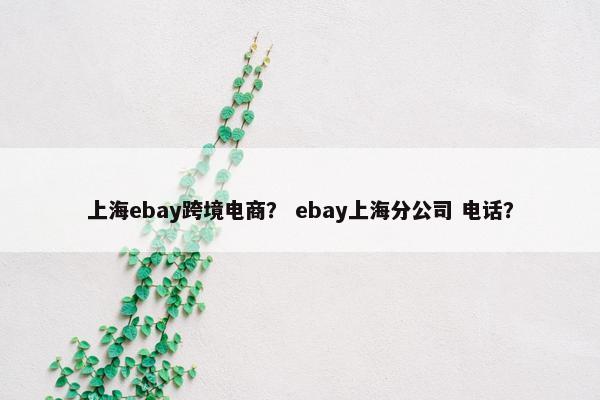 上海ebay跨境电商？ ebay上海分公司 电话？