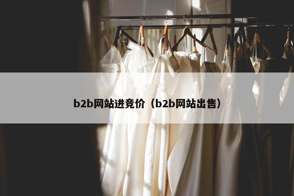 b2b网站进竞价（b2b网站出售）