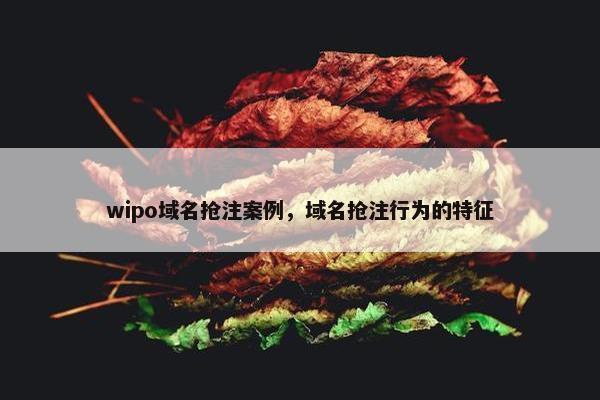 wipo域名抢注案例，域名抢注行为的特征