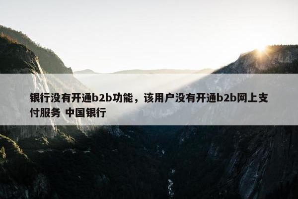 银行没有开通b2b功能，该用户没有开通b2b网上支付服务 中国银行