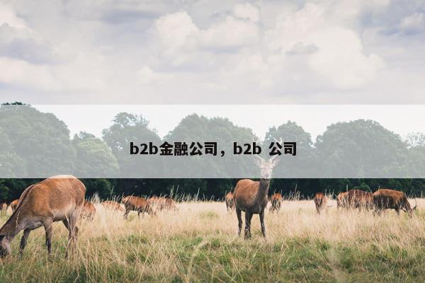 b2b金融公司，b2b 公司