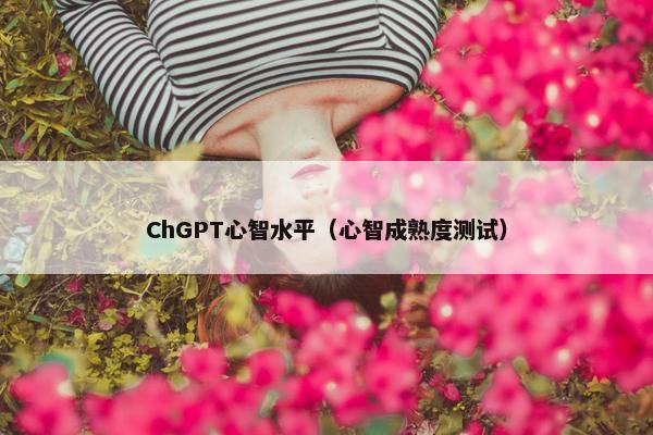 ChGPT心智水平（心智成熟度测试）