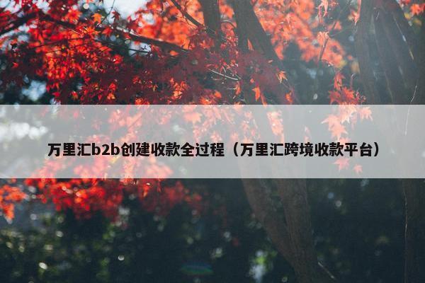 万里汇b2b创建收款全过程（万里汇跨境收款平台）