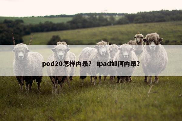 pod20怎样内录？ ipad如何内录？