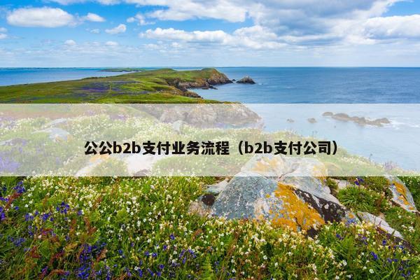 公公b2b支付业务流程（b2b支付公司）